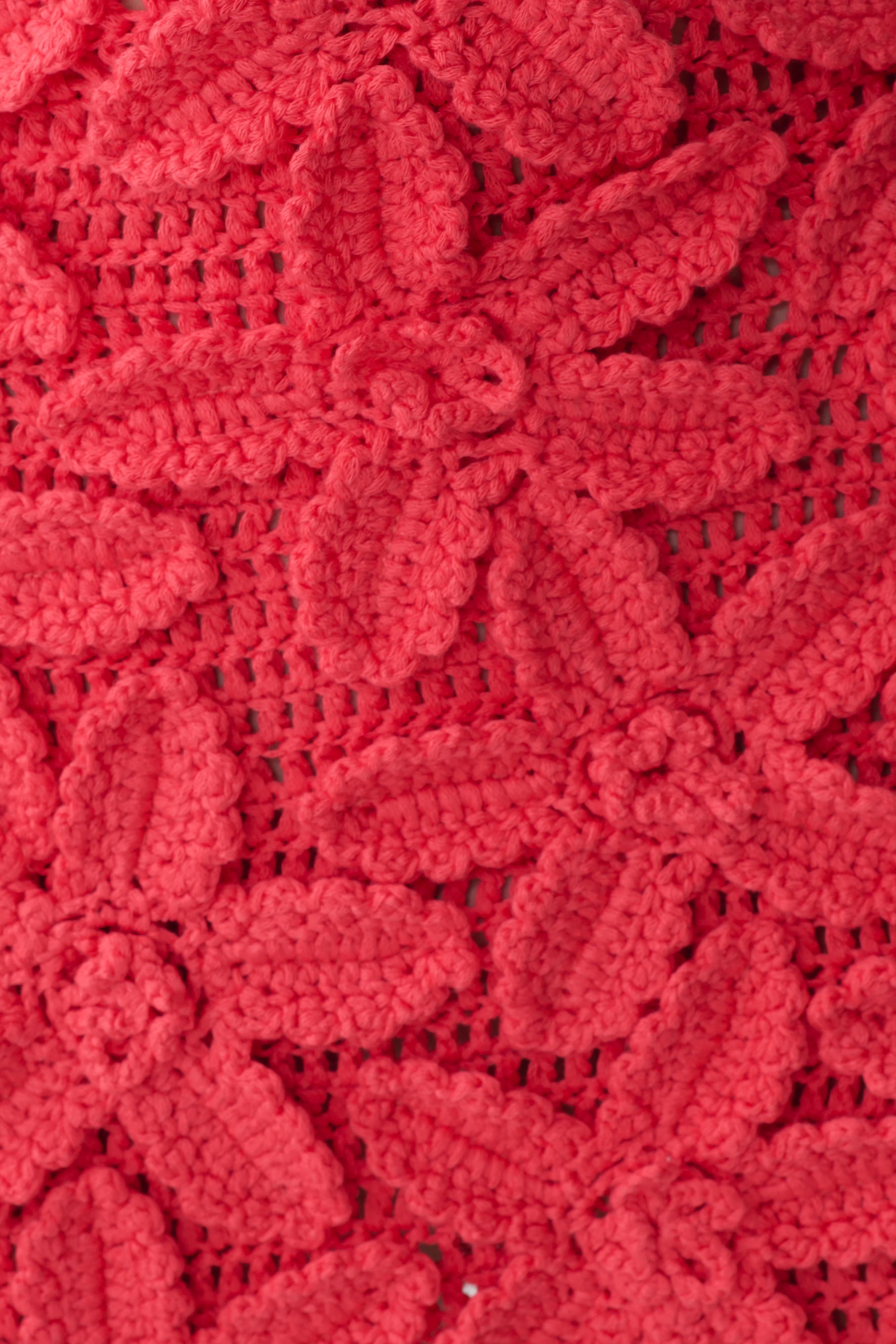 Jaylene Floral Crochet Mini Dress - Pomegranate