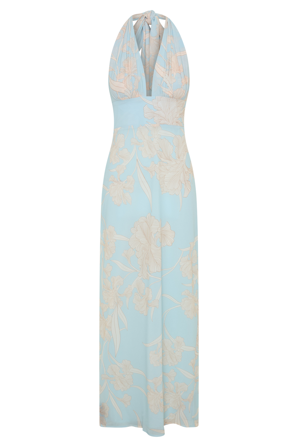 Nadine Halter Scarf Chiffon Maxi Dress - Blue Floral Print